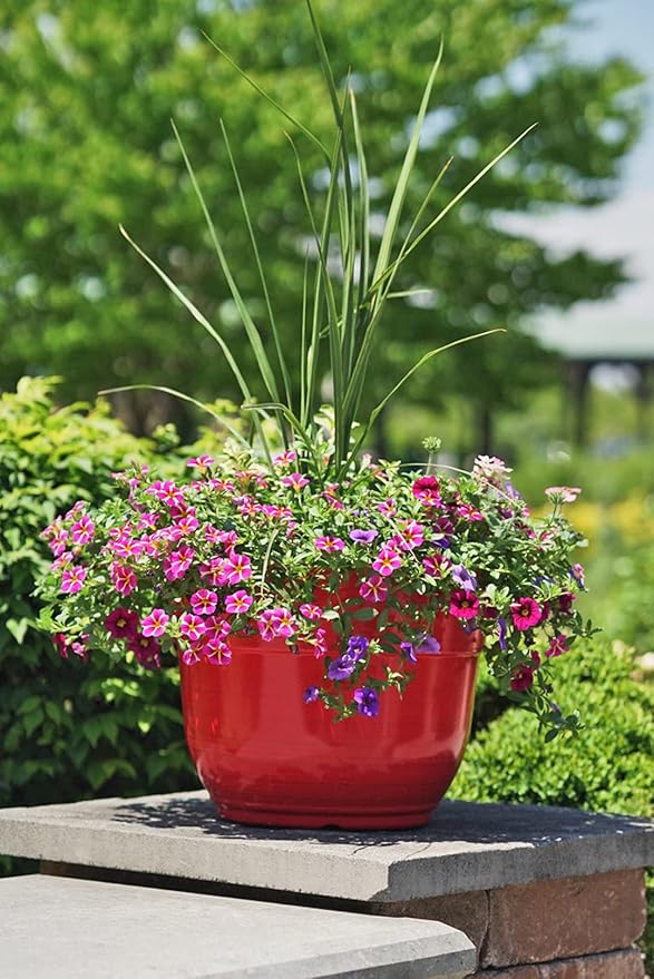 Garden Elements Indoor/Outdoor Glazed Brushed Happy Plastic Planter, Bright Red - Image 2