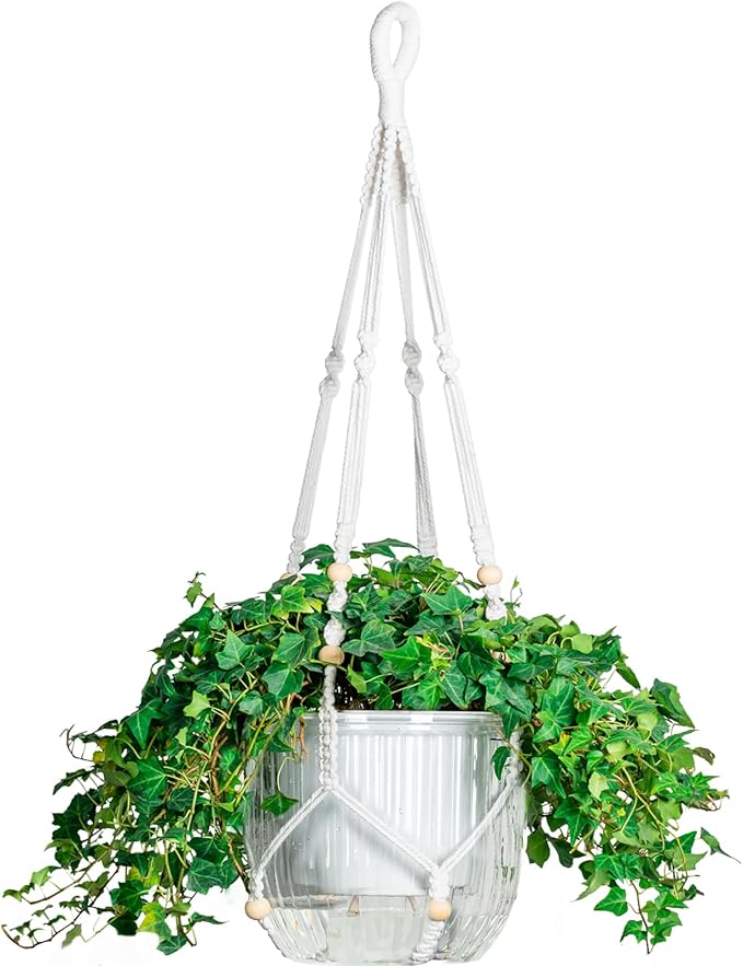 Melphoe Self Watering Hanging Planters by Melphoe