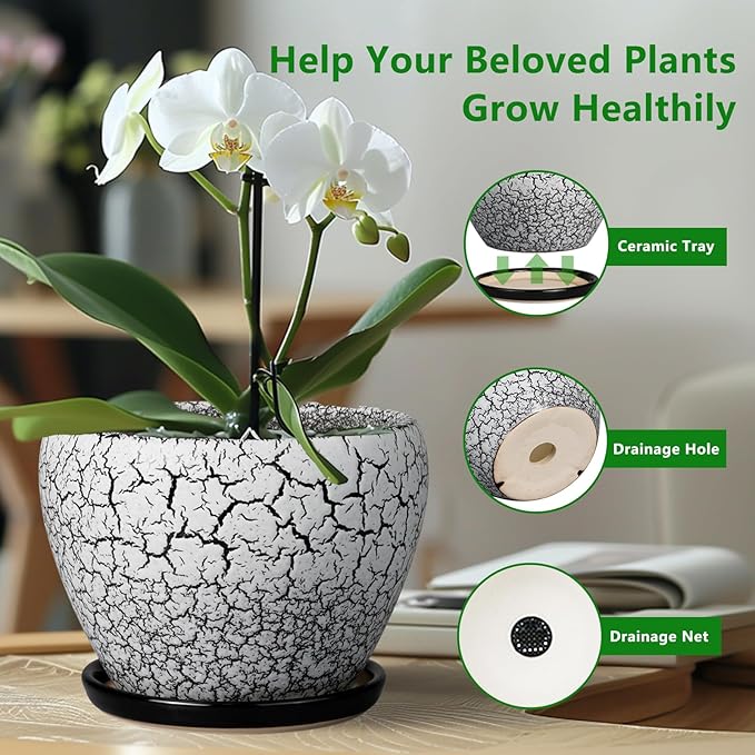 Ceramic Planters for Indoor Plants - Image 6
