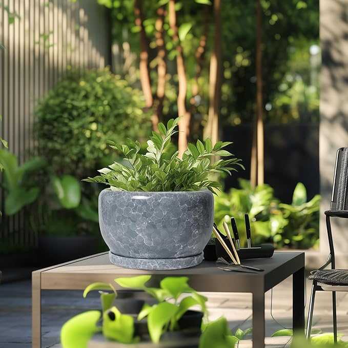 SQOWL Ceramic Pot for Plants - Image 5