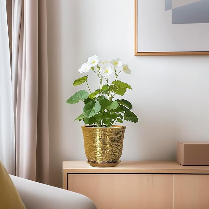 5.6 Inch Plant Pot - Image 6