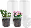 4" Clear Seeding Pots 50-Pack Round by RooTrimmer