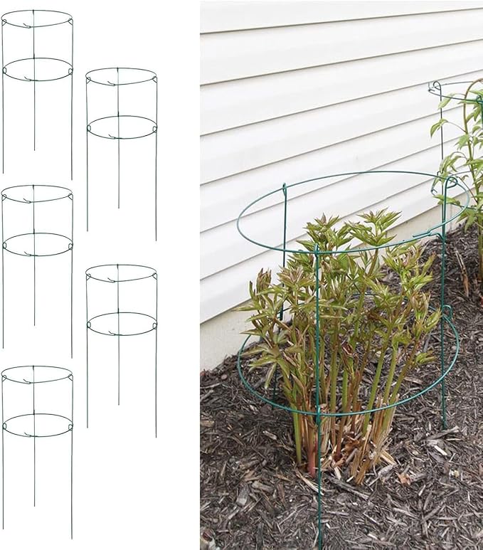 MTB Supply 5 Pack 36" x 18" Peony Double Ring Plant Support, Plant Support by MTBSUPPLY