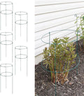 MTB Supply 5 Pack 36" x 18" Peony Double Ring Plant Support, Plant Support by MTBSUPPLY