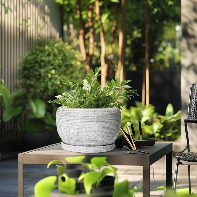 SQOWL Ceramic Flower Pots - Image 5