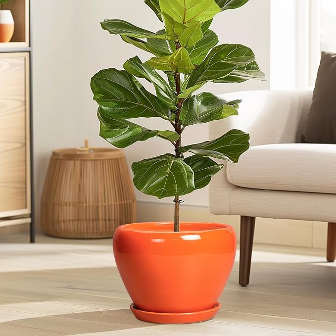 Indoor Plant Pot 8 Inch - Image 2
