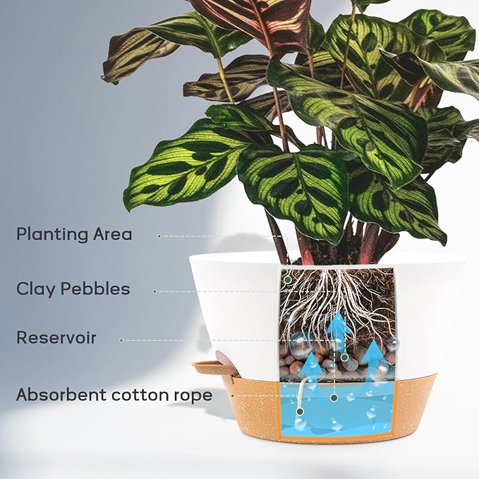 12-Inch Self Watering Planters - Image 4