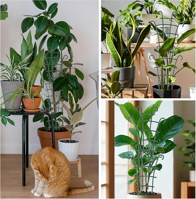 4 Pcs Small Trellis for Potted Plants Plant Trellis Indoor Trellis for Potted - Image 6