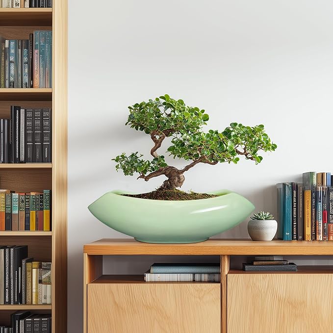 Ceramic Bonsai Pots - Image 3