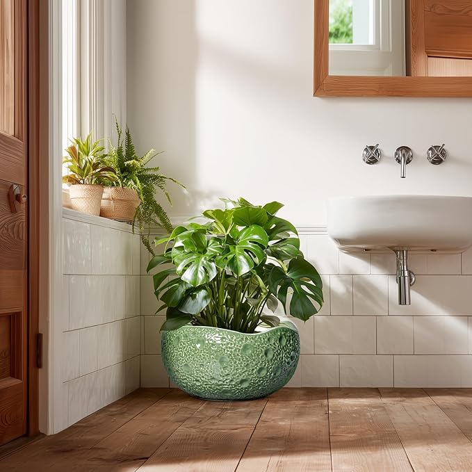 Ceramic Pots for Plants - Image 7