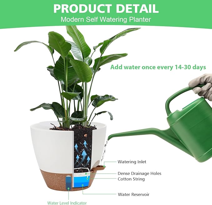 Self Watering Planter with Visual Water Level, Modern 8+7+6.5+6+5.5+5 Inch - Image 6