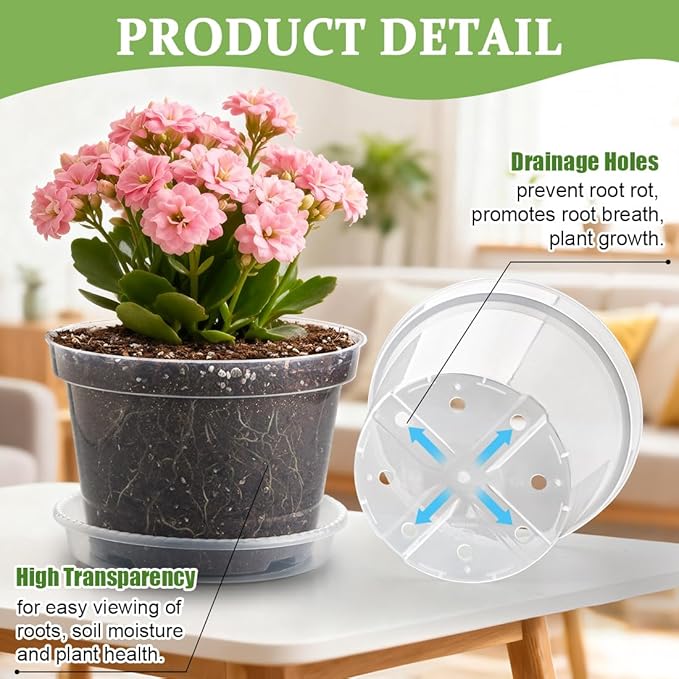 12 Pack 8 Inch Clear Plant Pots - Image 3