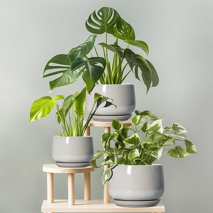 G EPGardening Ceramic Plant Pots - Image 7