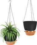 GARDIFE Hanging Planter, 10 inch Hanging planters by GARDIFE