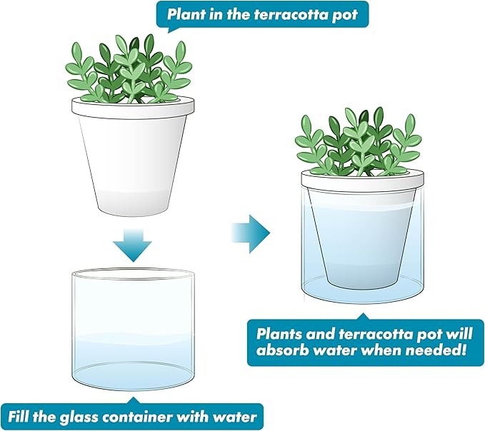 D'vine Dev 4 Inch Design Self Watering Planter - Image 6