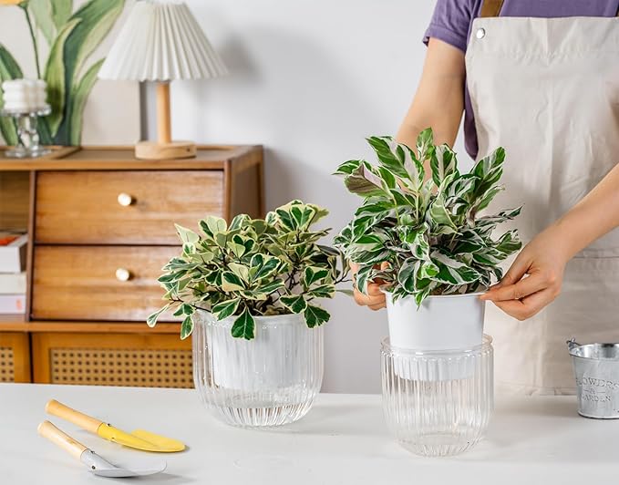 Melphoe Self Watering Pots for Indoor Plants Planter, 6.5/5.3 Inch 2 Pack - Image 2