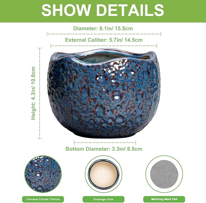 6 Inch Plant Pot - Image 2