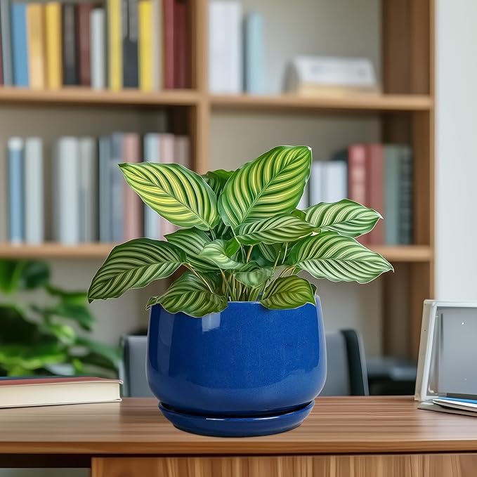 G EPGardening Round Ceramic Plant Pots - Image 8