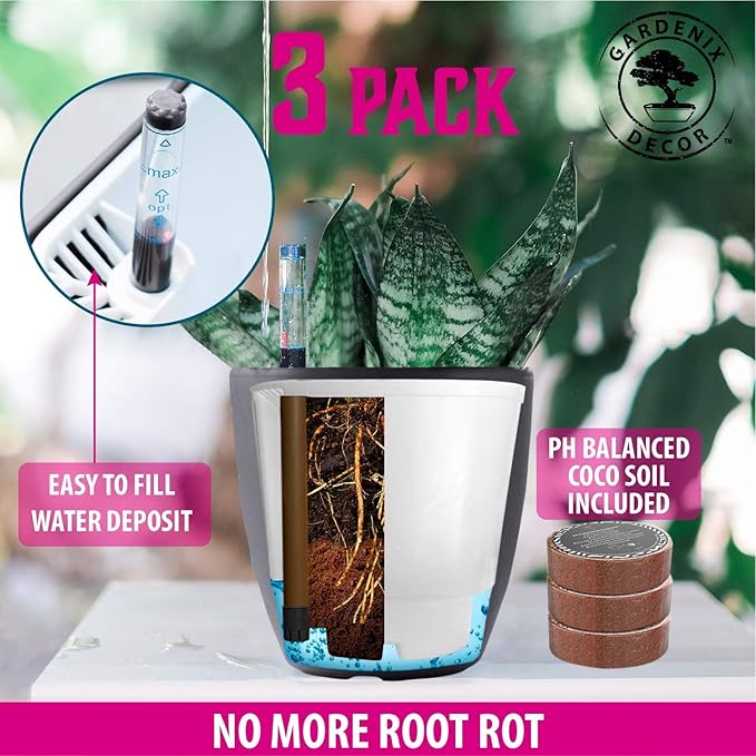 GARDENIX DECOR 7'' Self Watering planters - Image 4
