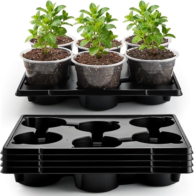 30 Pack 6 Inch Clear Nursery Pots and 5 Pack 6 Cell Round Plant Pot Trays by RooTrimmer