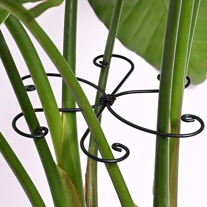 Black Monstera Plant Support Hook by Yohsnor