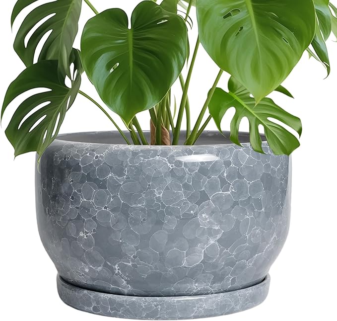 SQOWL Ceramic Pot for Plants by SQOWL