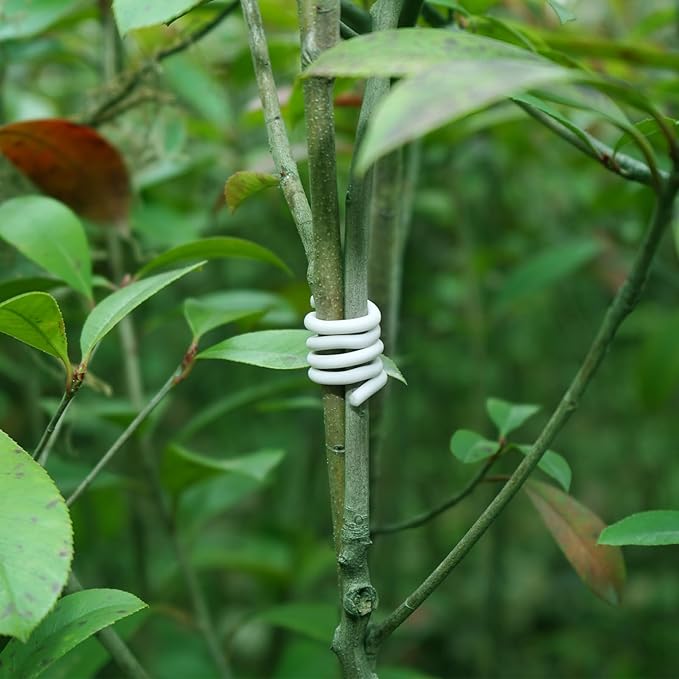 Decoroca Soft Plant Ties for Support - Image 5