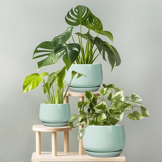 G EPGardening Ceramic Pots for Plants - Image 7