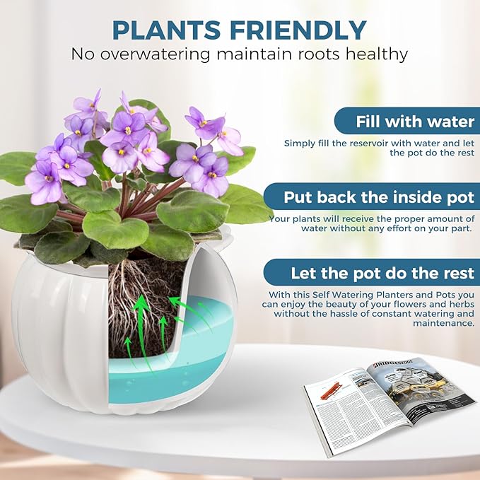 BUYMAX African Violet Pots, 6 inch Pumpkin-Style Ceramic Easy Self Watering - Image 3