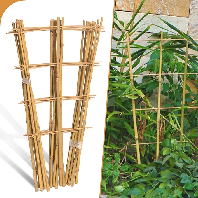 10 Pack 2ft Bamboo Trellis for Climbing Plants-Natural Garden Ladder Trellis by Biotolot