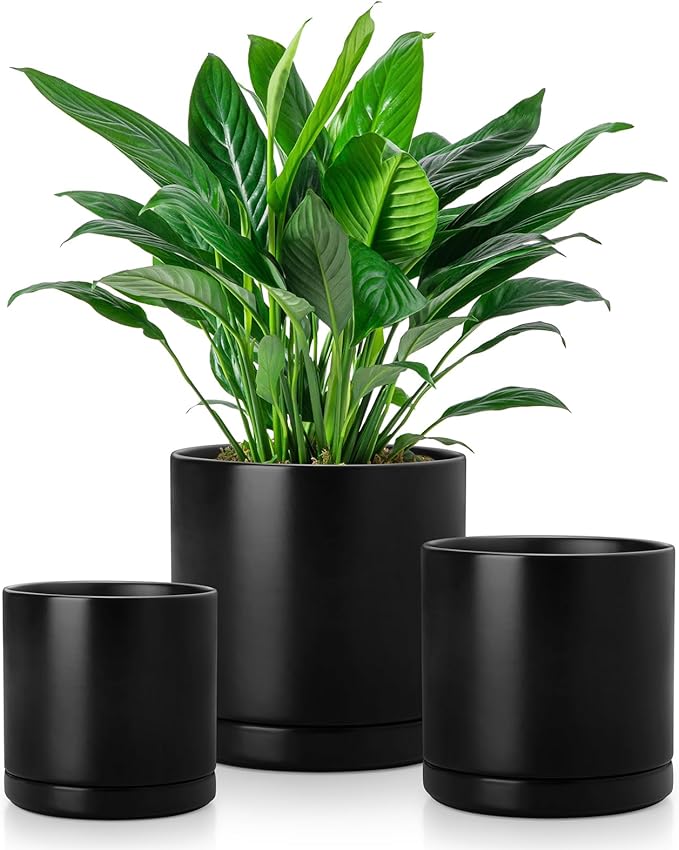 vancasso Ceramic Plant Pots, 3 Piece Planters by vancasso