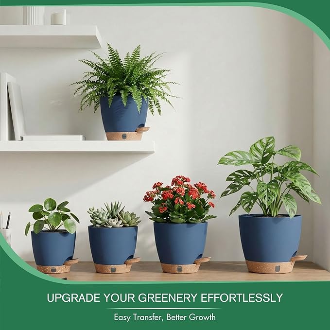 montresor 5-Pack 5/5.5/6/6.5/7 Inch Reservoir & Drainage Plastic Self Watering - Image 6