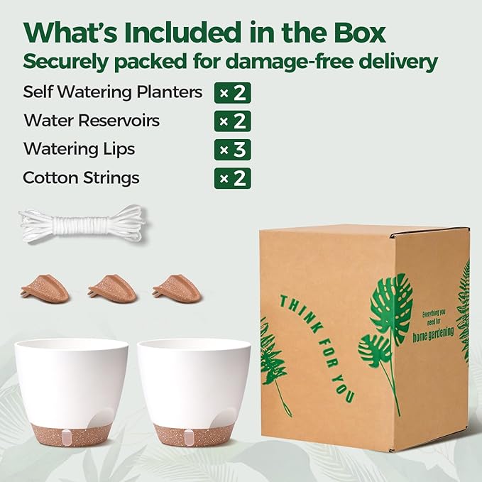 T4U 2 Pack 8 Inch Self Watering Pots - Image 6