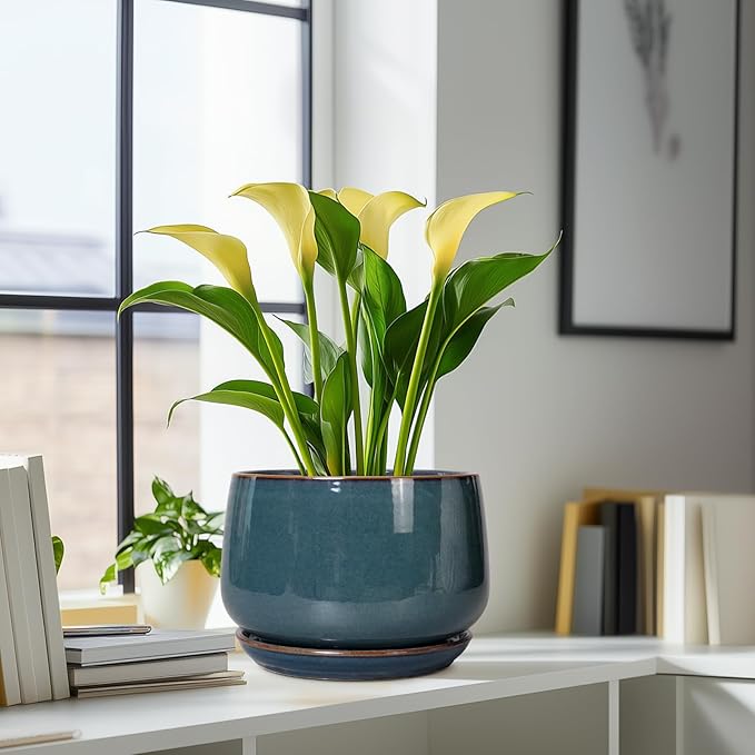 G EPGardening Ceramic Plant Pots - Image 8