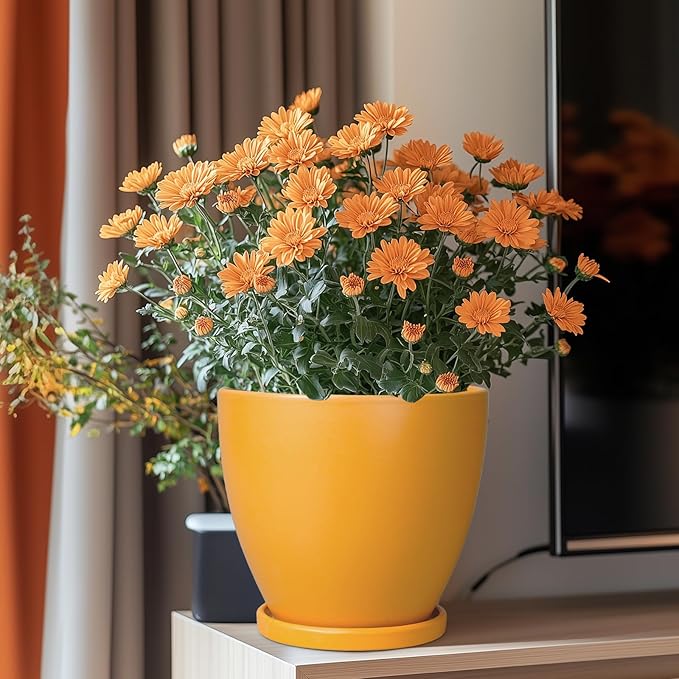 Ceramic Plant Pot - Image 2