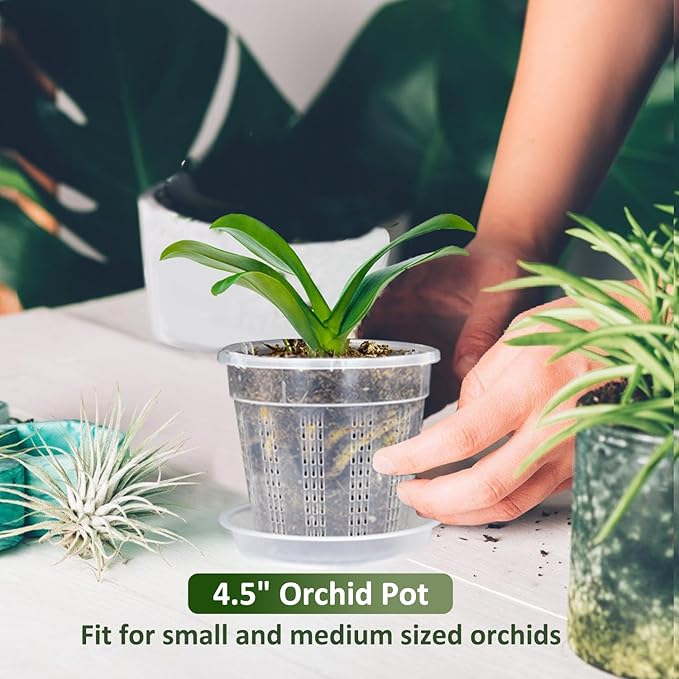 Orchid Pot with Saucers, 6 Packs of 4.3" Orchid Pots with Holes, Orchid Pots - Image 2