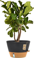 12-Inch Self Watering Planters by FIASON