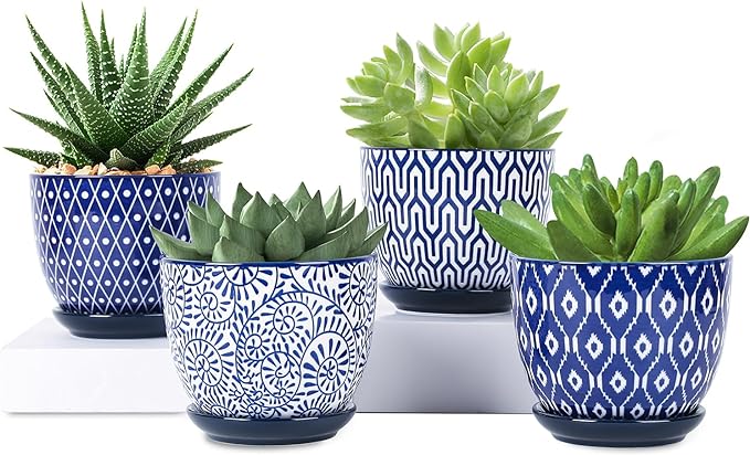 Selamica Ceramic Plant Pots, 4.6 Inch Flower Pots by Selamica