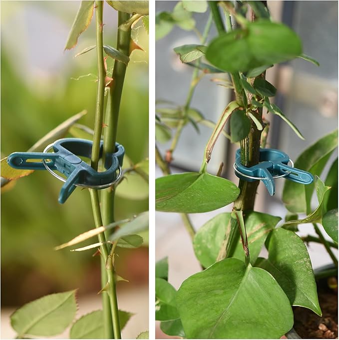 Plant Support Clips, Gardening Lever Loop Gripper Clips Help Stems Vines Grow - Image 6