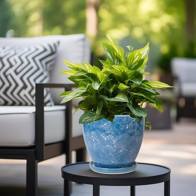 8 Inch Plant Pot - Image 4