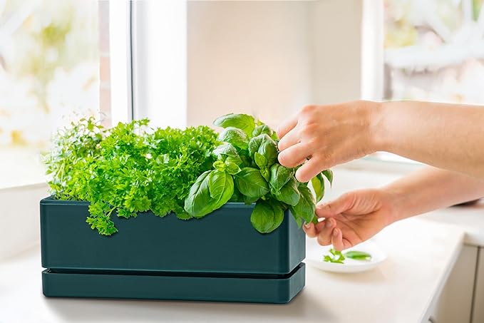 D'vine Dev 12 Inch Window Box Planter, Rectangle Plastic Herb Planter - Image 2