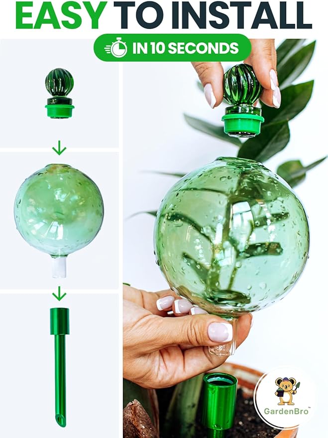 16 Oz Plant Watering Globes for Indoor Plants - Image 4