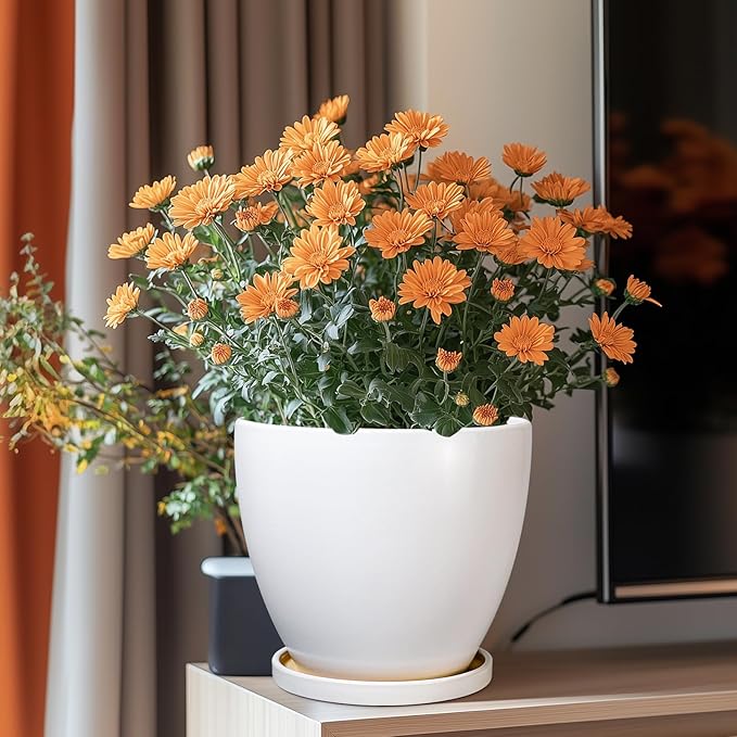 8 Inch Plant Pot - Image 2