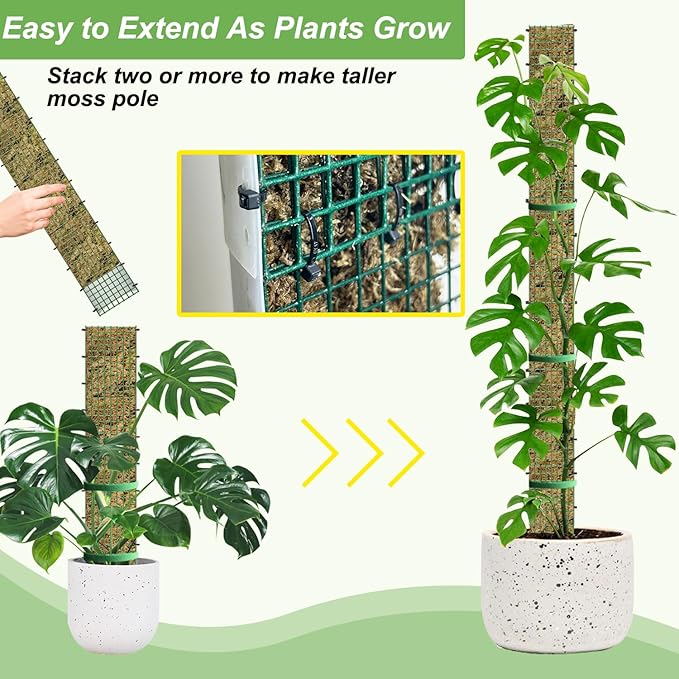 24" Metal Moss Pole, D Shape Sphagnum Moss Pole, Moss Poles - Image 4