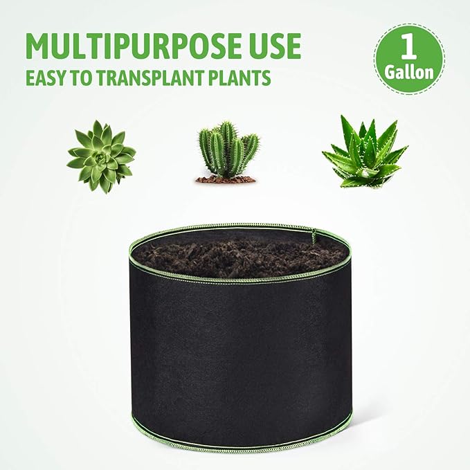 Delxo Garden Grow Bags 1 Gallon 10 Pack Plant Growing Bags Small Fabric Pots - Image 5