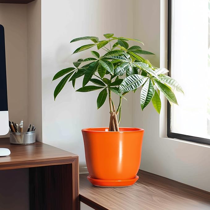 Ceramic Planter - Image 3