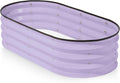 Plant & Plot Galvanized Raised Garden Beds Outdoor // 4×2×1 ft Planter Raised by PlantPlot