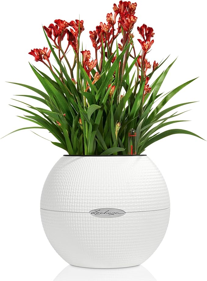 Lechuza Puro Color 20 White, Self-Watering Small Indoor Planter, D7.9 H6.3 in - Image 2