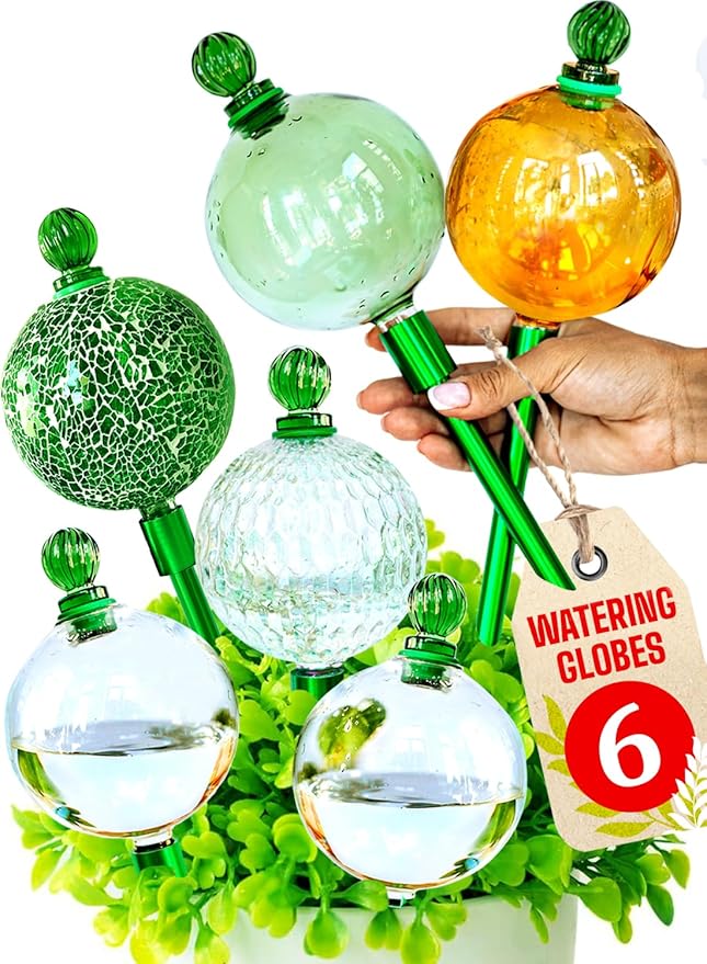 6pcs 16 Oz Plant Watering Globes by GARDENBRO