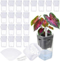 LemonRoad 20 Pack 2" Small Self Watering Pots by Unknown